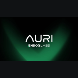 AURI by Endor Labs logo